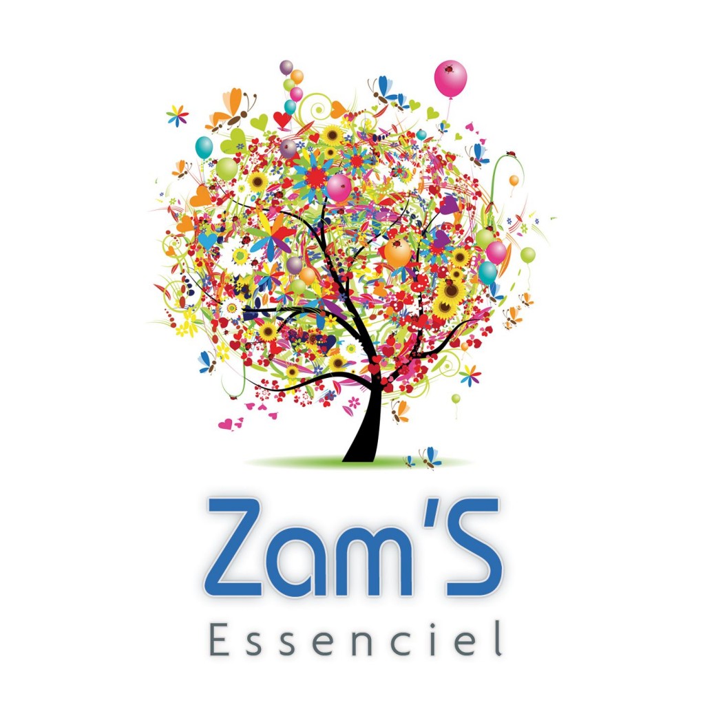 Pochette de l'album Essenciel du Groupe Zam's